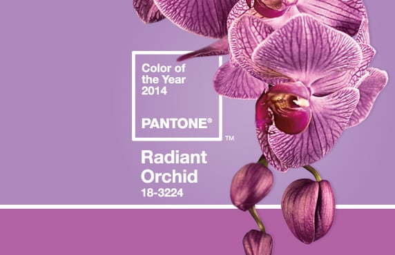 2014 Pantone Color of the Year Radiant Orchid