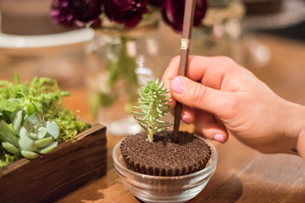 planting Floral Soil cupcake