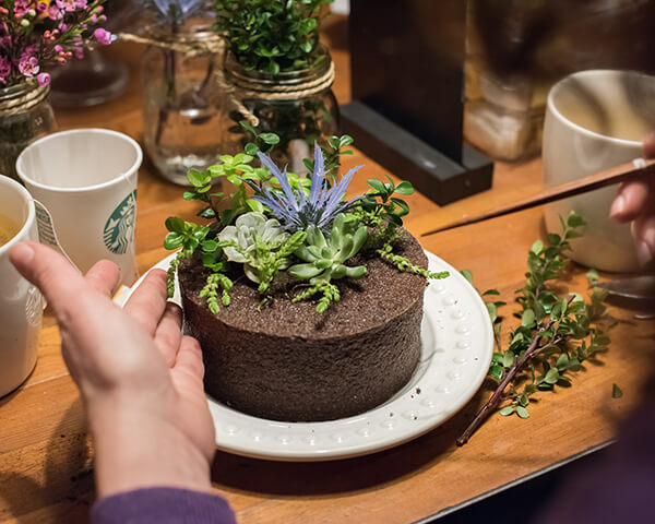 Floral Soil and plants