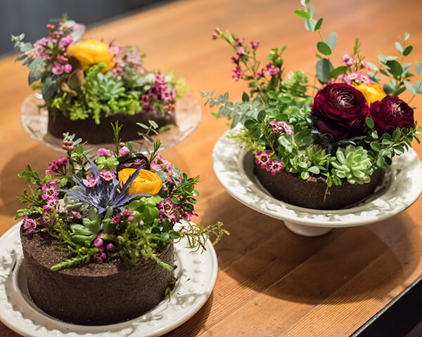 Floral Soil at Starbucks Madison Park